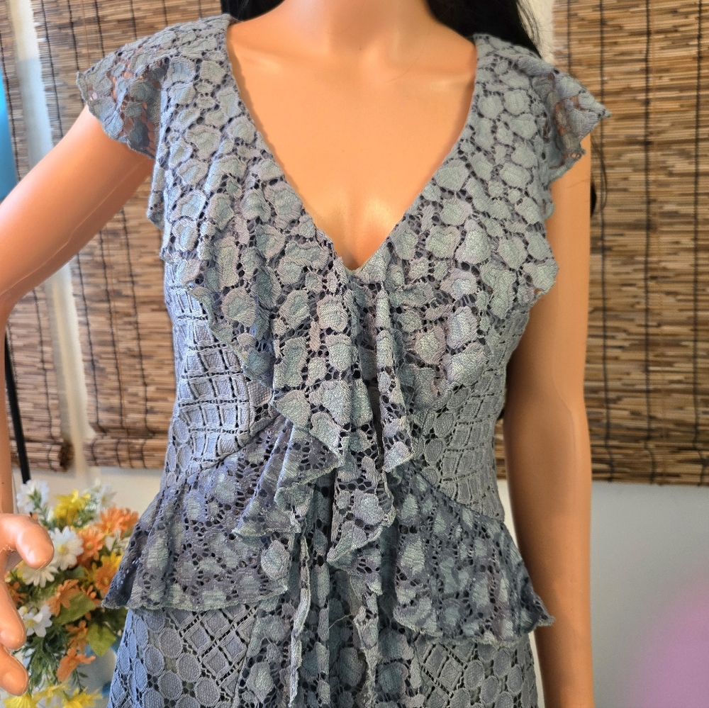 Anthropologie Sleeveless Lace Ruffle Dress - Picture 4 of 16